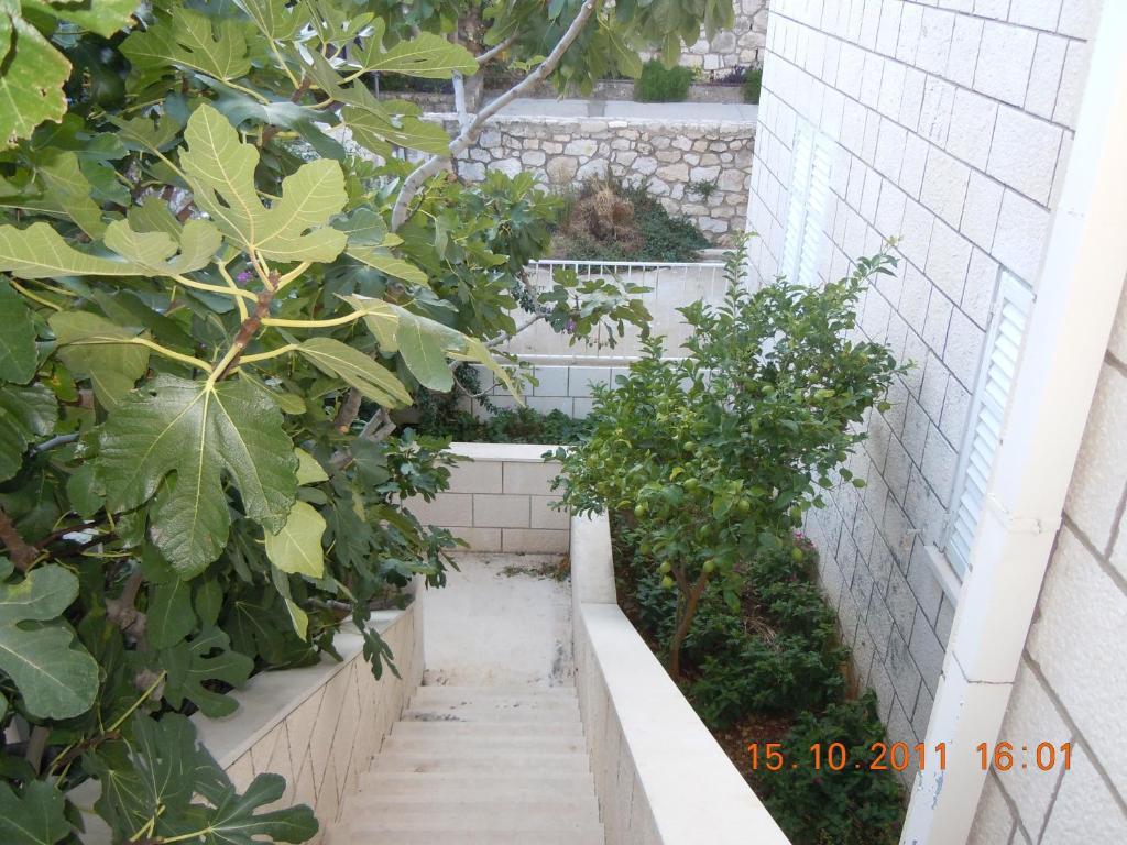 Central Apartment Dubrovník Pokoj fotografie