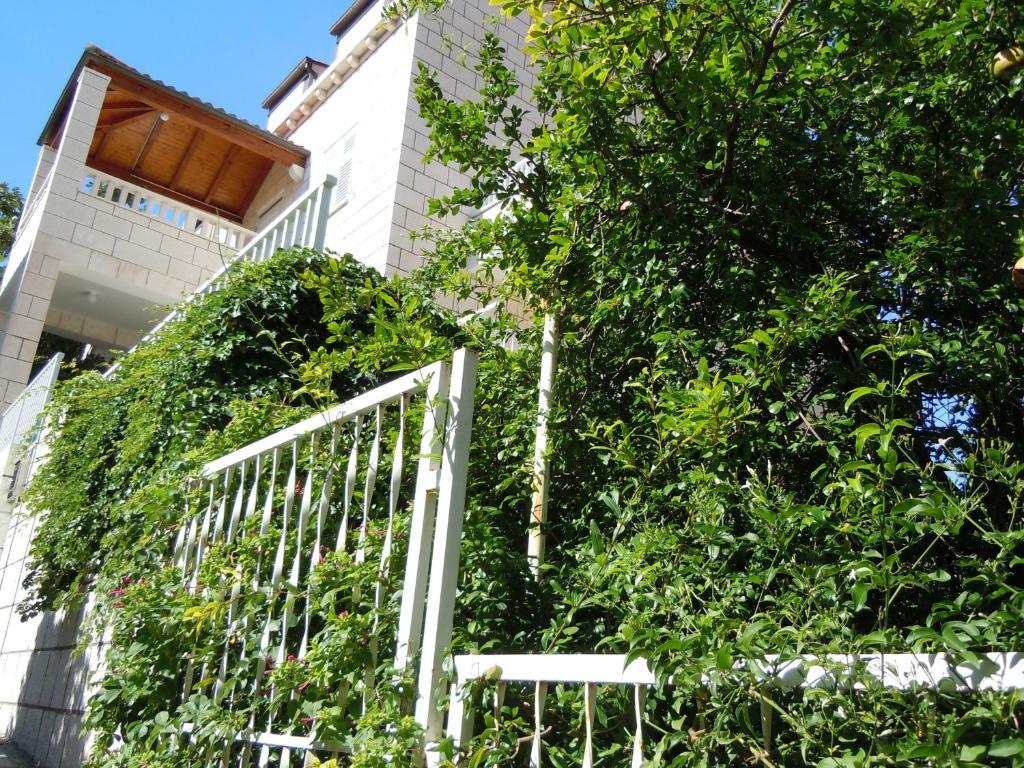 Central Apartment Dubrovník Exteriér fotografie